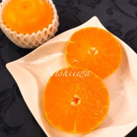 せとか【愛媛他】