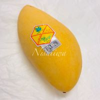 タイマンゴー【タイ】