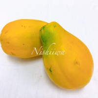パパイヤ【ハワイ】