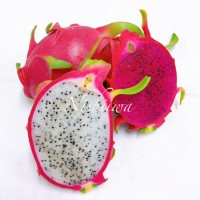 ピタヤ【沖縄、ベトナム】