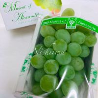 マスカットオブアレキサンドリア【岡山】