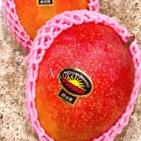 メキシコマンゴー【メキシコ】