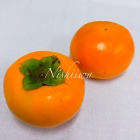 富有柿【山梨、福岡】