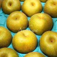 幸水 【山梨、茨城、福岡】