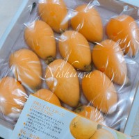 枇杷(びわ)【長崎】
