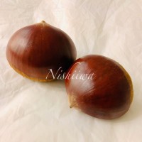 栗【兵庫、茨城】