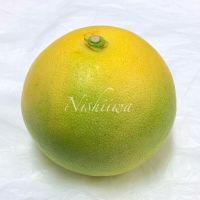 温室水晶文旦【高知】