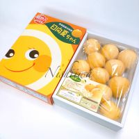 日向夏【宮崎】