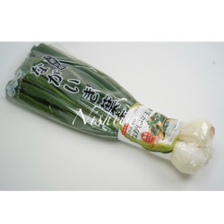 葉玉葱