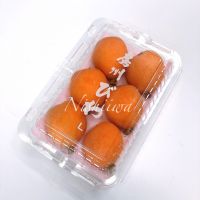 房州びわ【千葉】