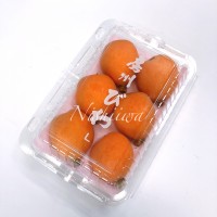 房州びわ【千葉】
